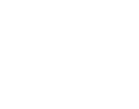 wawa logo