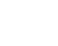 wawa logo