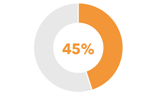 Donut chart showing 45% filled in.