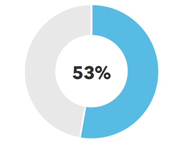 Donut chart showing 53% filled in.
