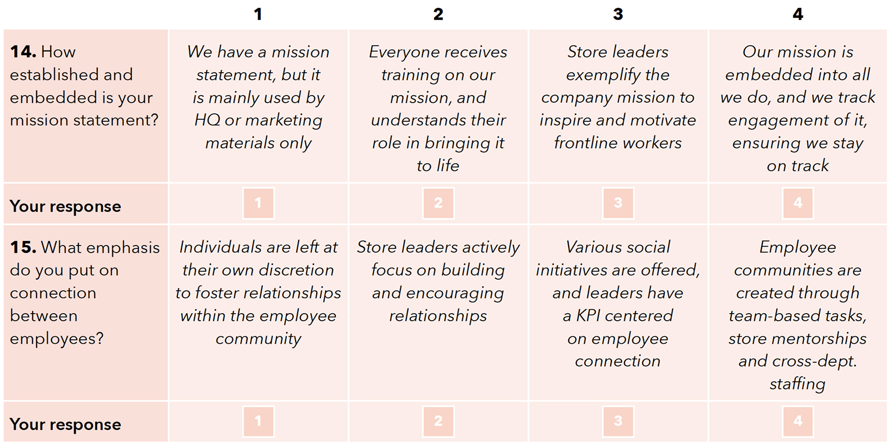 Question 14: How established and embedded is your mission statement? 1 point: We have a mission statement, but it is mainly used by HQ or marketing materials only. 2 points: Everyone receives training on our mission, and understands their role in bringing it to life. 3 points: Store leaders exemplify the company mission to inspire and motivate frontline workers. 4 points: Our mission is embedded into all we do, and we track engagement of it, ensuring we stay on track. Question 15: What emphasis do you put on connection between employees? 1 point: Individuals are left at their own discretion to foster relationships within the employee community. 2 points: Store leaders actively focus on building and encouraging relationships. 3 points: Various social initiatives are offered, and leaders have a KPI centered on employee connection. 4 points: Employee communities are created through team-based tasks, store mentorships and cross-department staffing.
