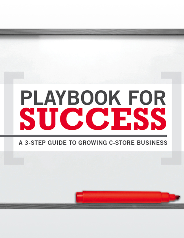 playbook for success report cover