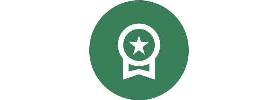 medal icon